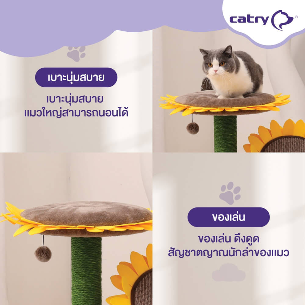 คอนโดแมว Catry รุ่น Sunflower พร้อมเสาลับเล็บ 2 เสาและที่นอนกำมะหยี่